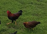53ewu2gk7x62mhdd69g879g2t81ih8ft.jpg