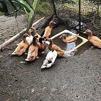 tqkkf4hscrv8v1awcz8afljy2kkp4ss1.jpg