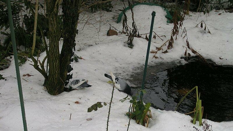 image-227