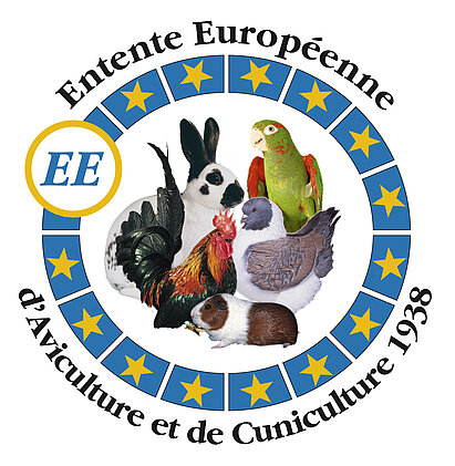 EE_Fahne