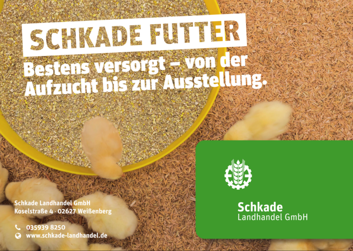 SchkadeWerbung