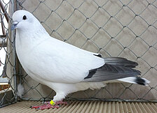 image-573