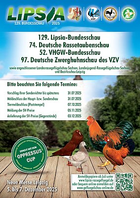 Flyer_129